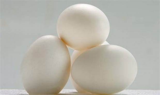 Eggs